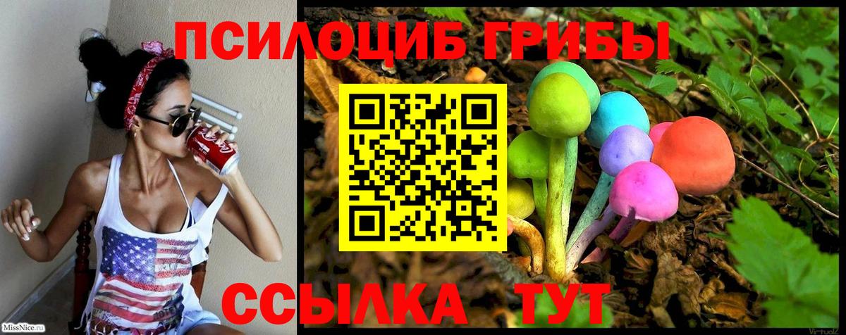 Псилоцибиновые грибы Magic Shrooms  Вход с VPN  Гусев 
