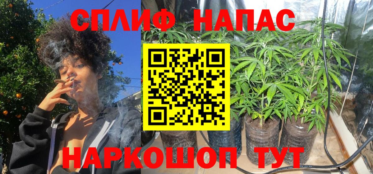 Марихуана индика  Вход с VPN  Гусев  Бошки Шишки VHQ 